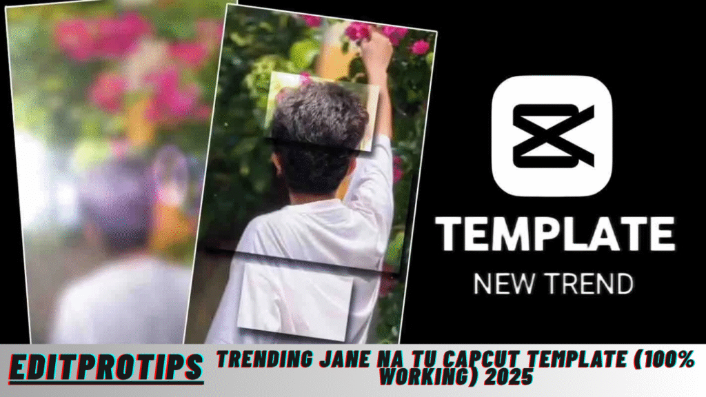 Trending Jane Na Tu Capcut Template (100% Working) 2025