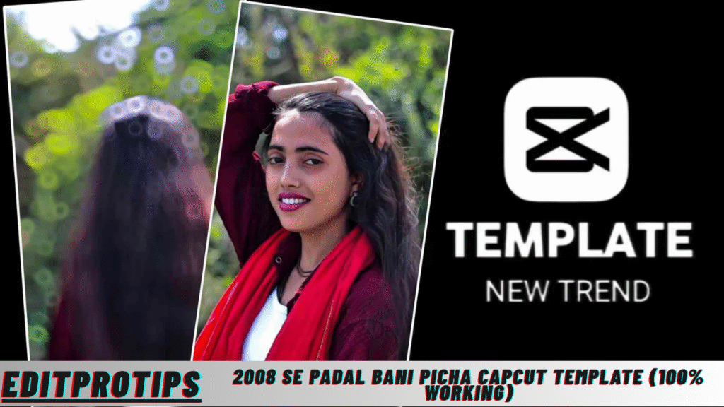 2008 Se Padal Bani Picha Capcut Template (100% Working)
