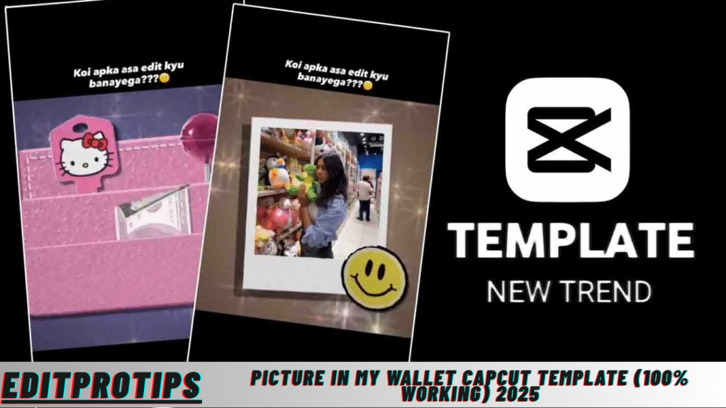 Picture In My Wallet Capcut Template (100% Working) 2025